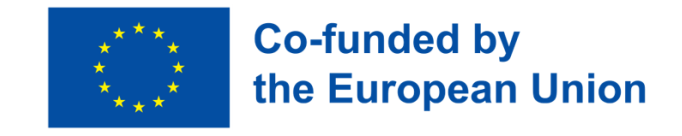 Co-funded by the European Union